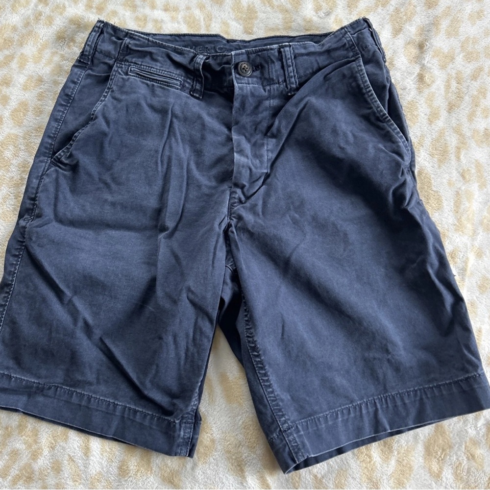 American Eagle Outfitters Blue Flat Front Shorts